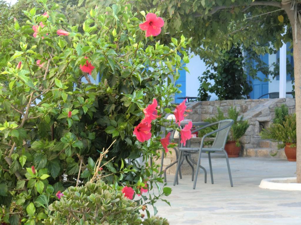 Mykonos Vouniotis Rooms Mykonos Town Esterno foto